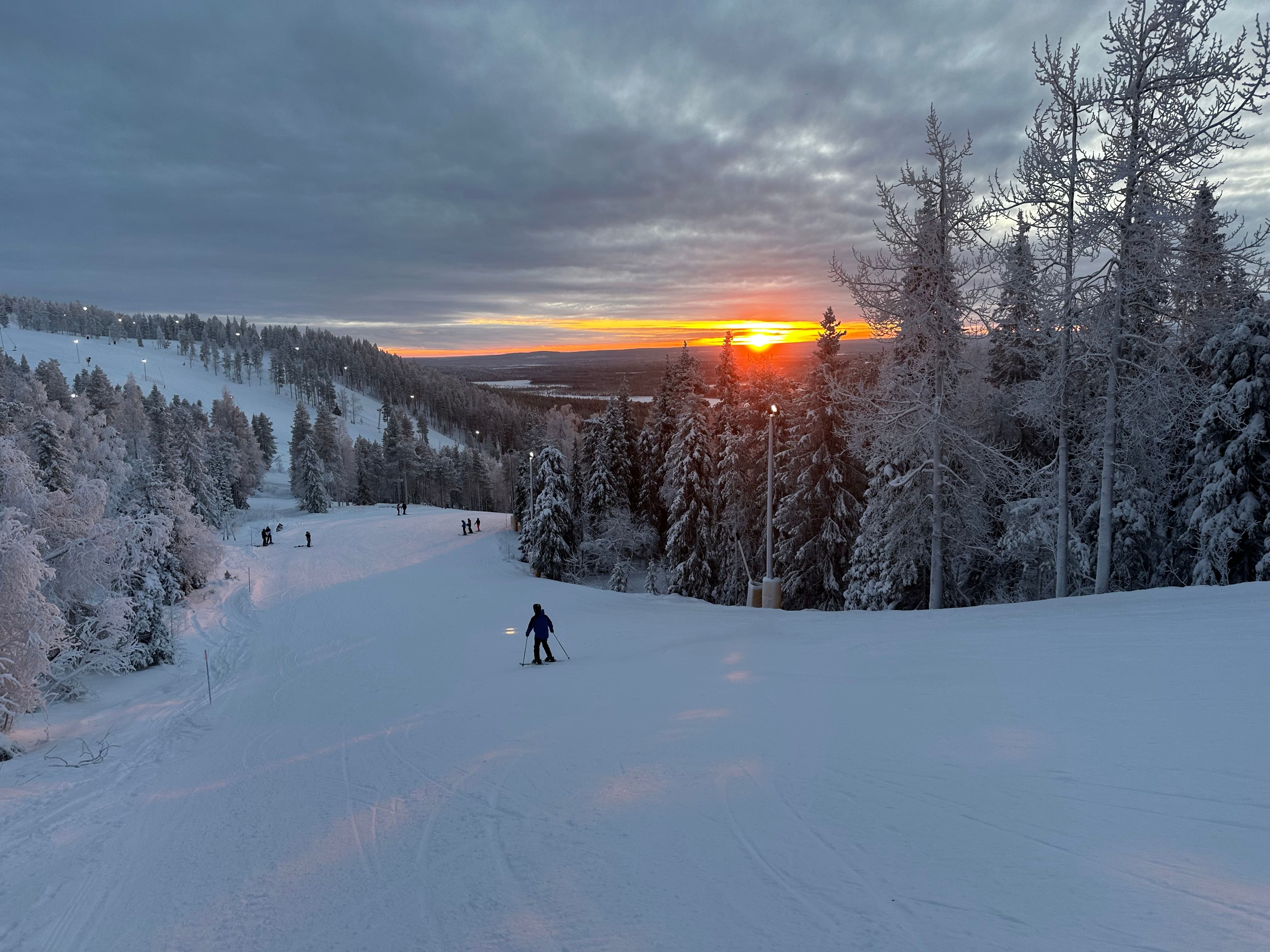 Cross-country skiing through pine forest in Finnish Lapland