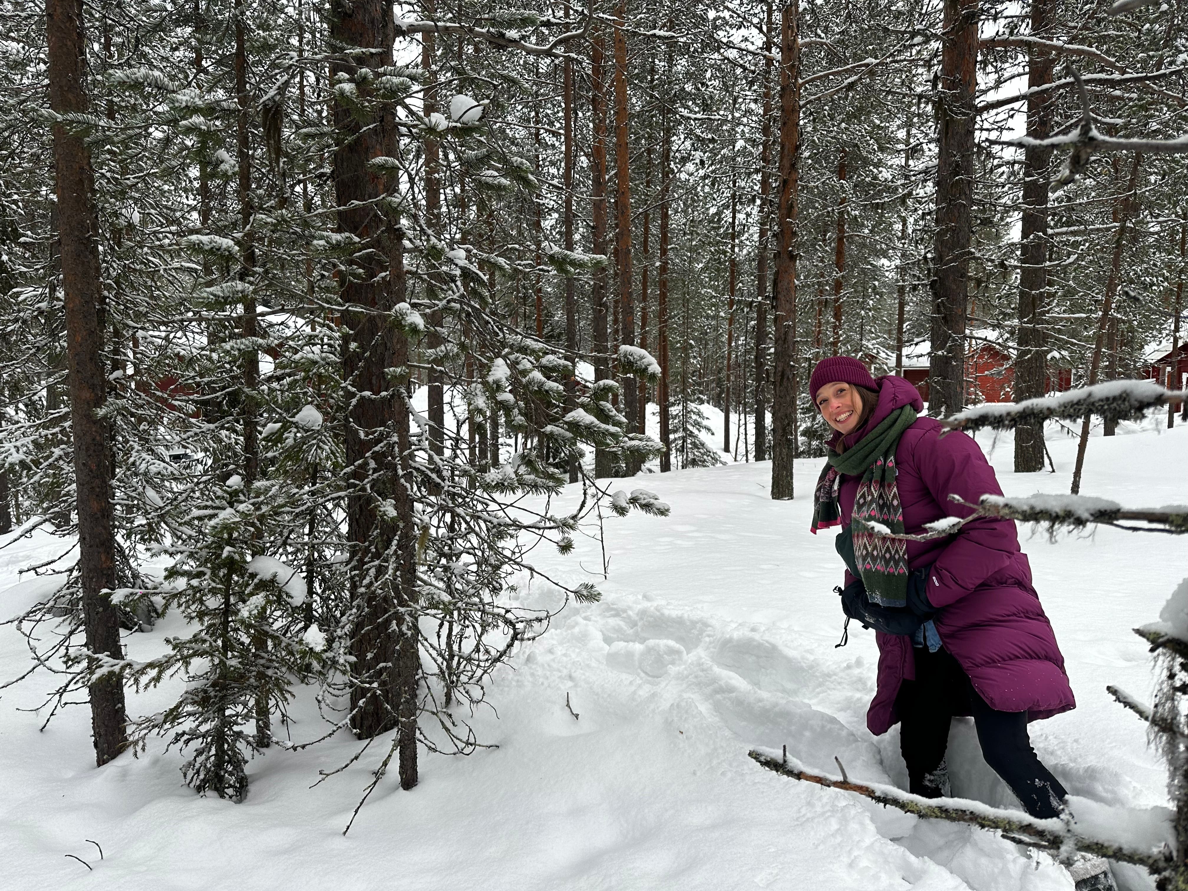 Forest snowshoeing in Finnish Lapland winter